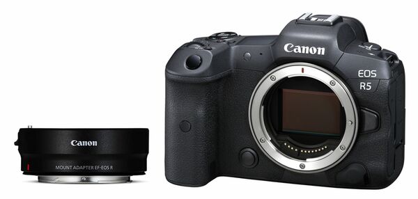 Canon EOS R5 Gehäuse + Canon Objektivadapter (ohne Steuerungsring) 