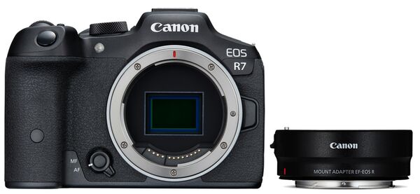 Canon EOS R7 Gehäuse + Objektivadapter EF-EOS R (ohne Steuerungsring) 
