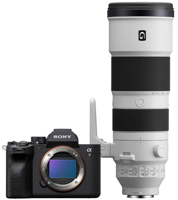 Sony Alpha 7 IV (ILCE-7M4) + SEL 200-600mm f/5.6-6.3 G OSS 