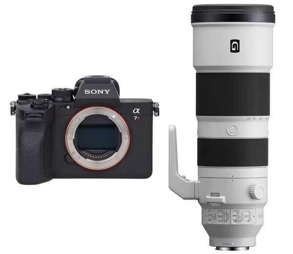 Sony Alpha 7R V (ILCE-7RM5) + SEL 200-600mm f/5.6-6.3 G OSS 